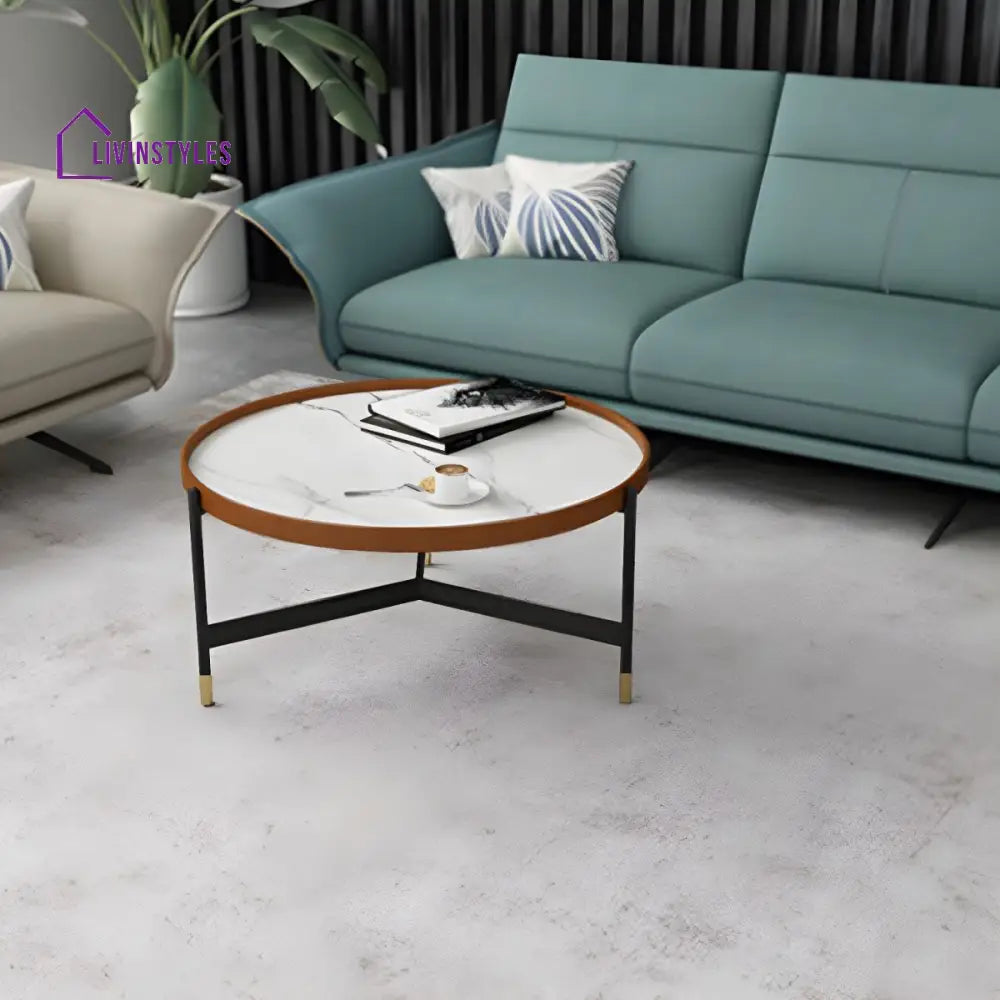 Rishaan Stainless Steel Frame Coffee Table for Living Room