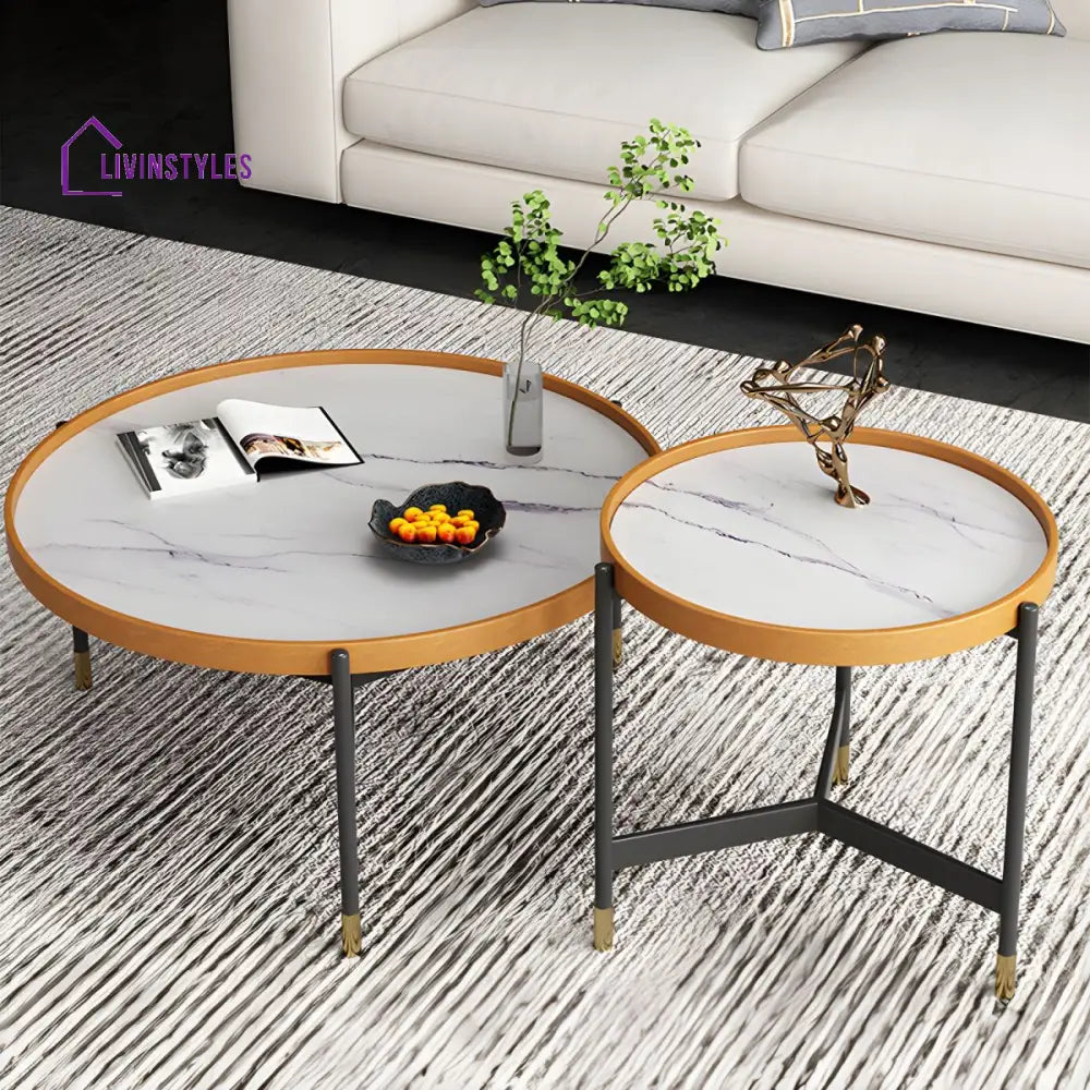 Rishaan Stainless Steel Frame Coffee Table for Living Room
