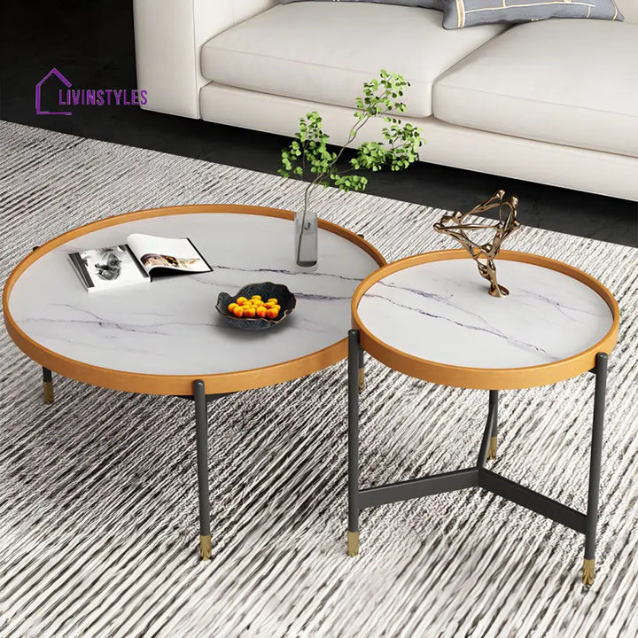 Rishaan Stainless Steel Frame Coffee Table for Living Room