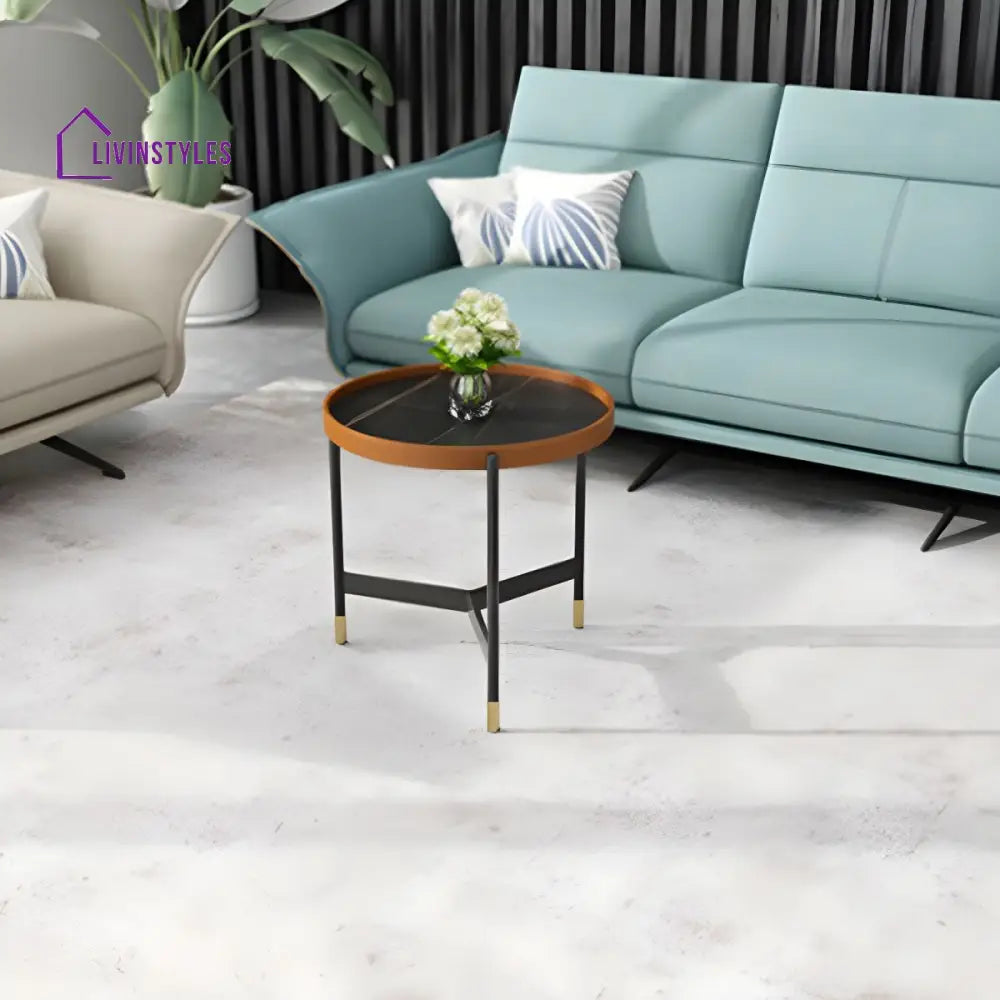 Rishaan Stainless Steel Frame Coffee Table for Living Room