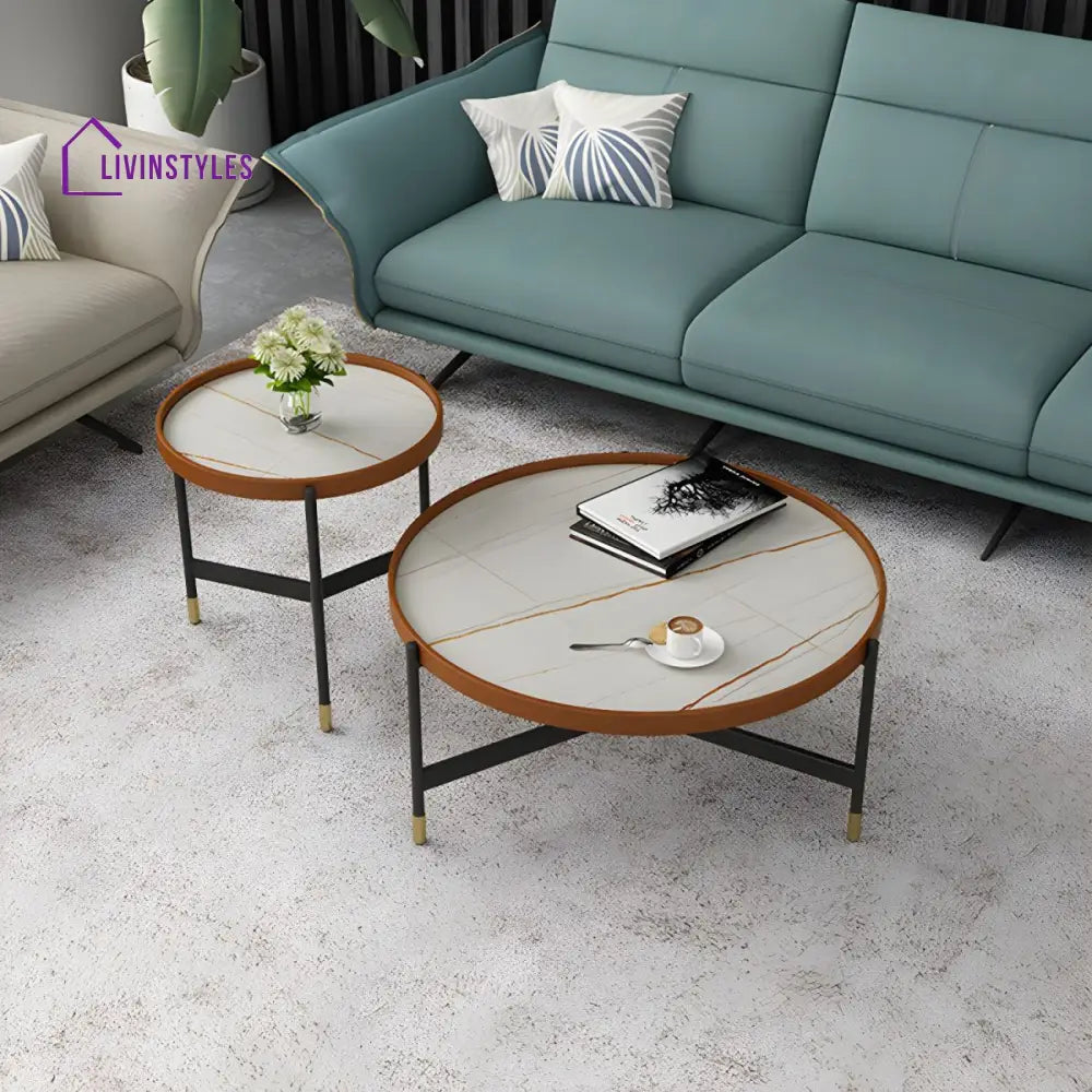 Rishaan Stainless Steel Frame Coffee Table for Living Room