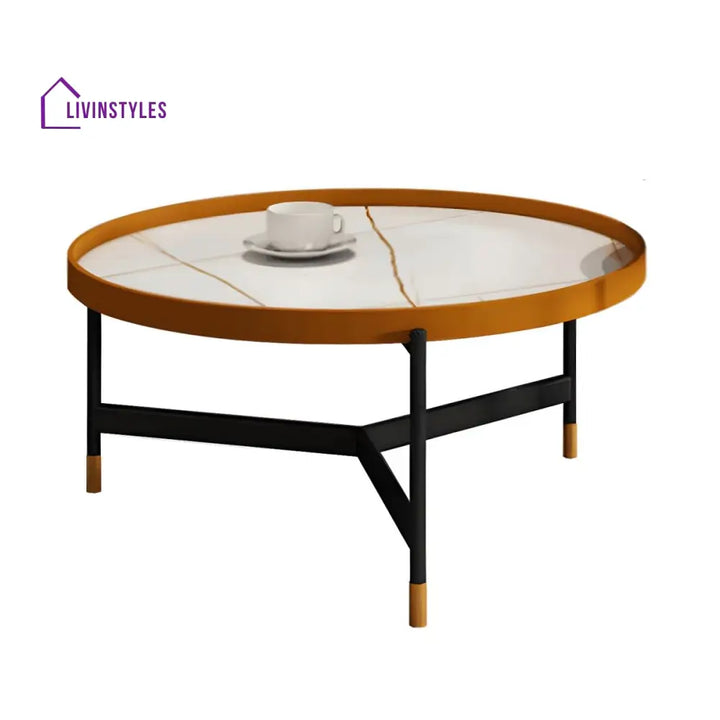Rishaan Stainless Steel Frame Coffee Table for Living Room