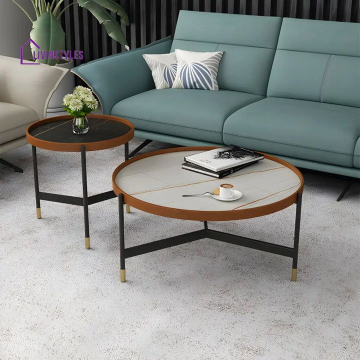 Rishaan Stainless Steel Frame Coffee Table for Living Room