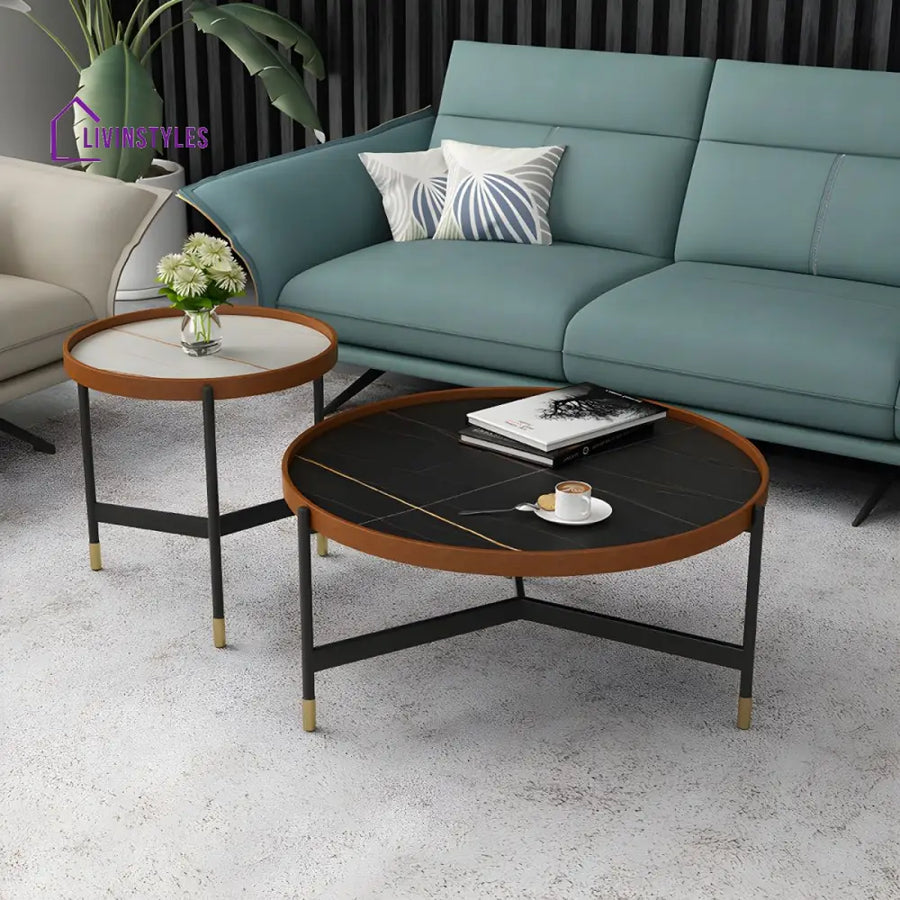 Rishaan Stainless Steel Frame Coffee Table for Living Room