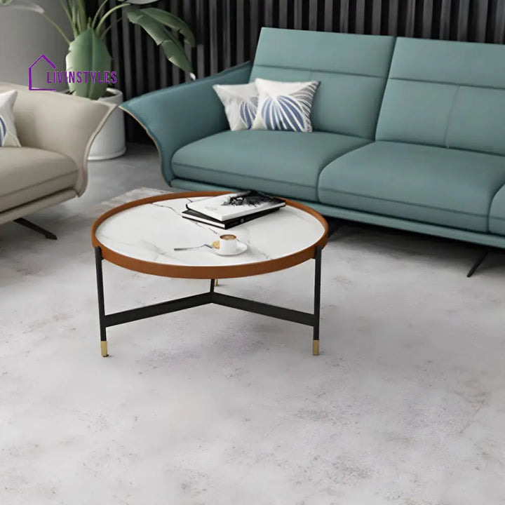 Rishaan Stainless Steel Frame Coffee Table for Living Room