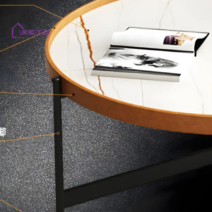 Rishaan Stainless Steel Frame Coffee Table for Living Room