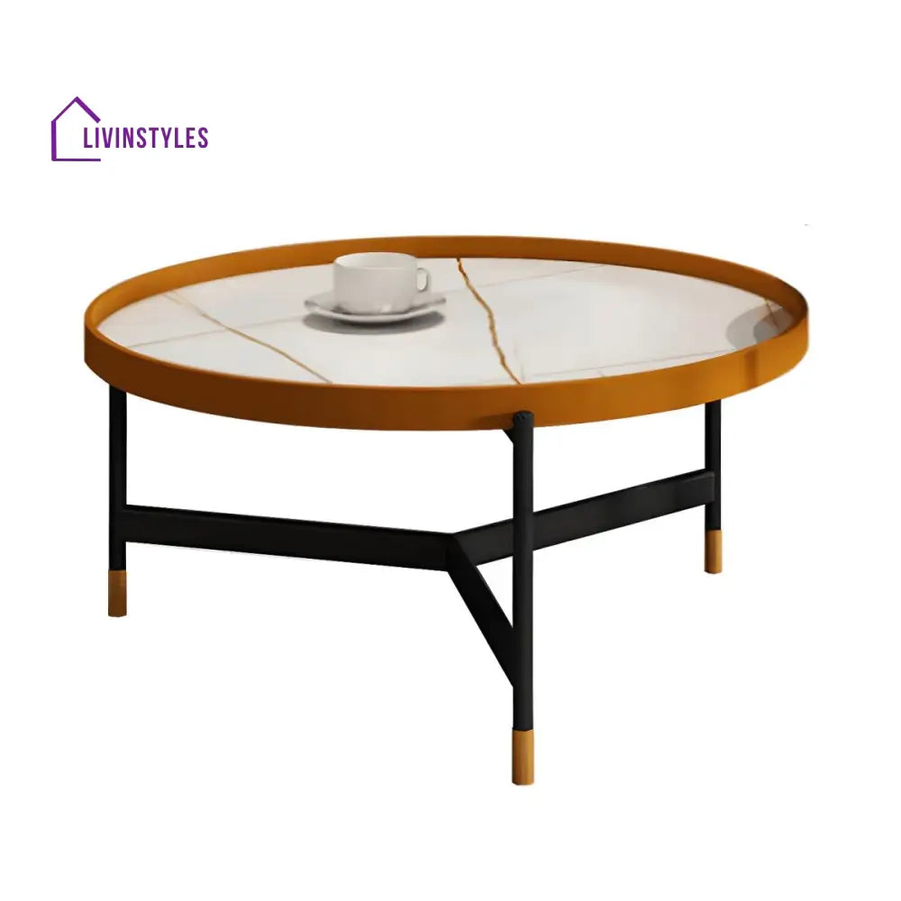 Rishaan Stainless Steel Frame Coffee Table for Living Room