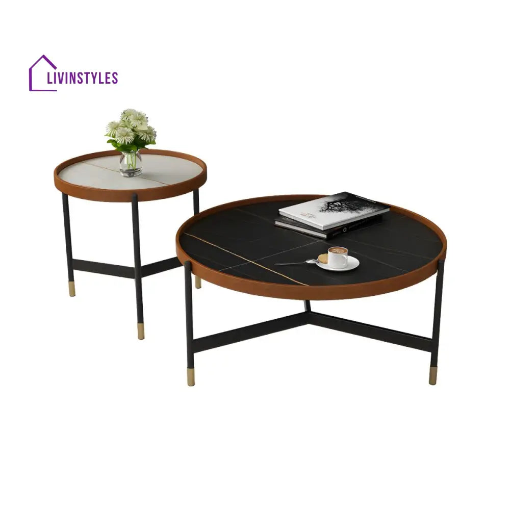 Rishaan Stainless Steel Frame Coffee Table for Living Room