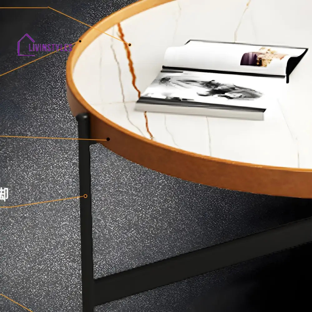 Rishaan Stainless Steel Frame Coffee Table for Living Room