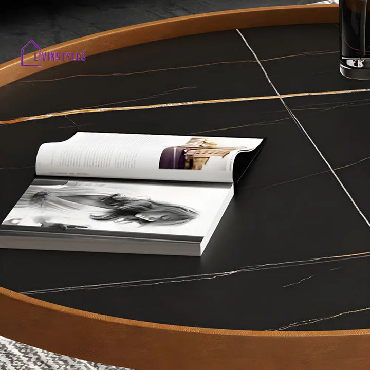 Rishaan Stainless Steel Frame Coffee Table for Living Room