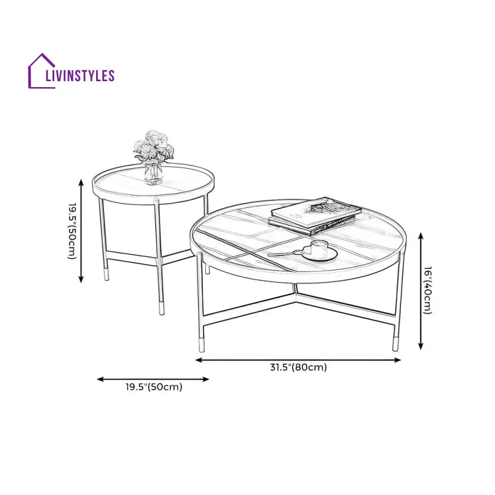 Rishaan Stainless Steel Frame Coffee Table for Living Room