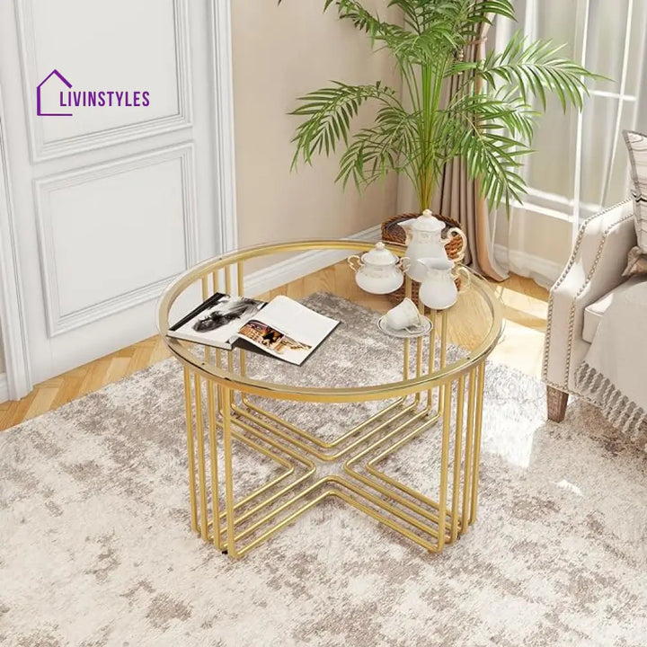 Ritika Metal Coffee Table For Living Room