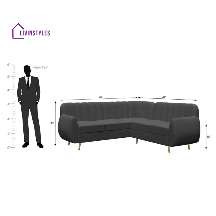 Rodion High Density Foam Sofa Set sofa
