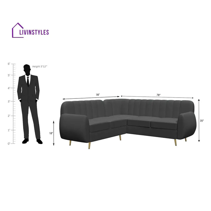 Rodion High Density Foam Sofa Set sofa