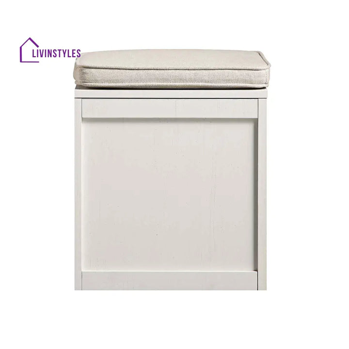 Frances Woven Rattan Single Storage Stool with Cushion White Cabinets & Chests
