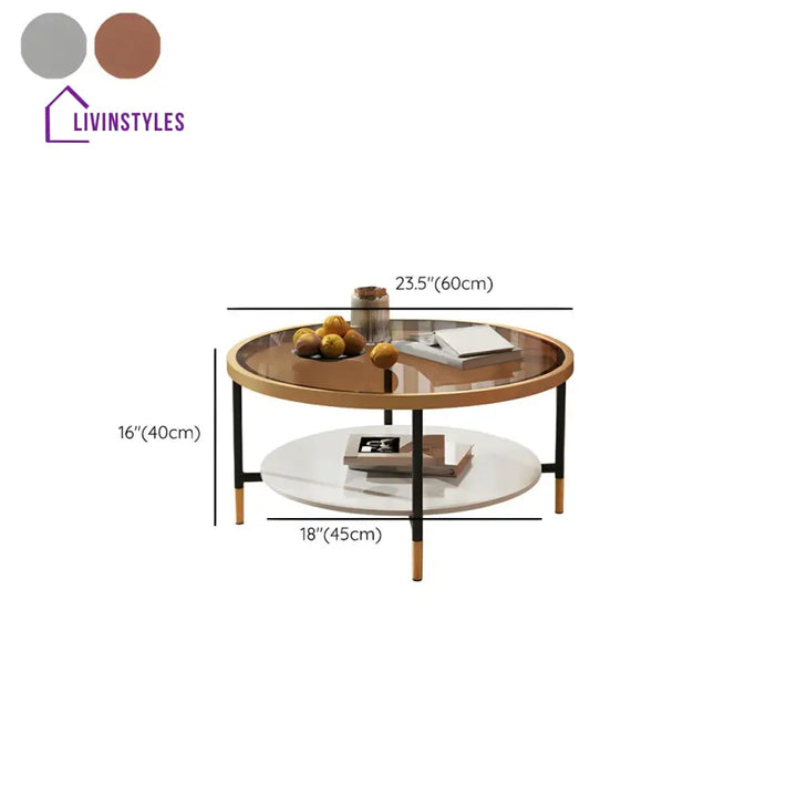 Sahil Stainless Steel Frame Coffee Table for Living Room