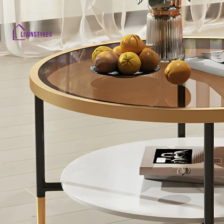 Sahil Stainless Steel Frame Coffee Table for Living Room