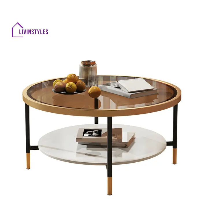 Sahil Stainless Steel Frame Coffee Table for Living Room