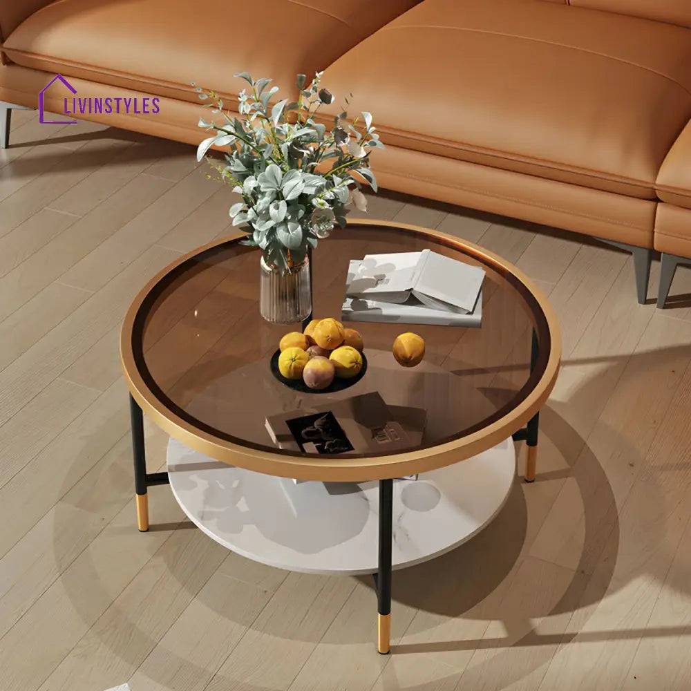 Sahil Stainless Steel Frame Coffee Table for Living Room