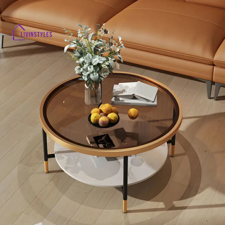Sahil Stainless Steel Frame Coffee Table for Living Room