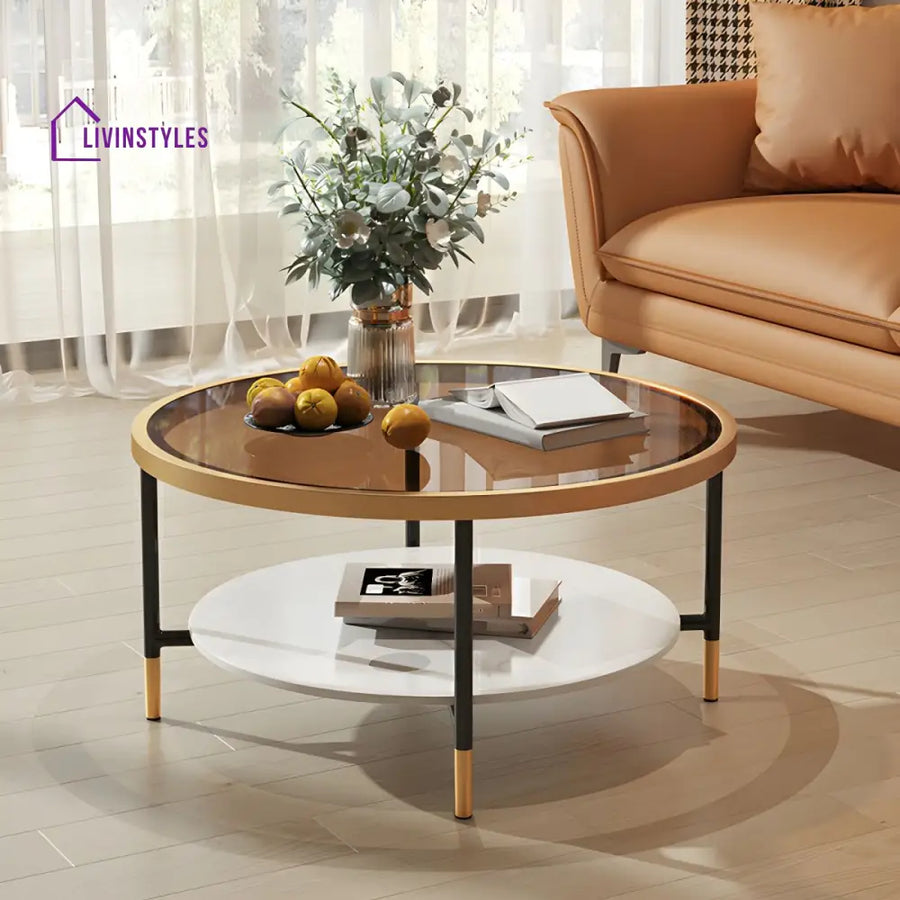 Sahil Stainless Steel Frame Coffee Table for Living Room
