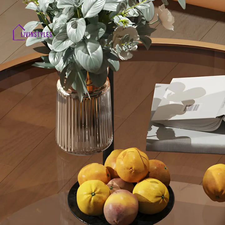 Sahil Stainless Steel Frame Coffee Table for Living Room