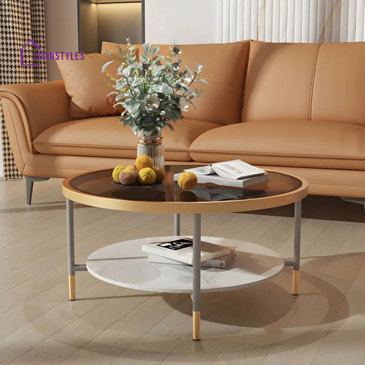Sahil Stainless Steel Frame Coffee Table for Living Room