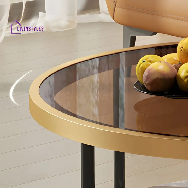 Sahil Stainless Steel Frame Coffee Table for Living Room