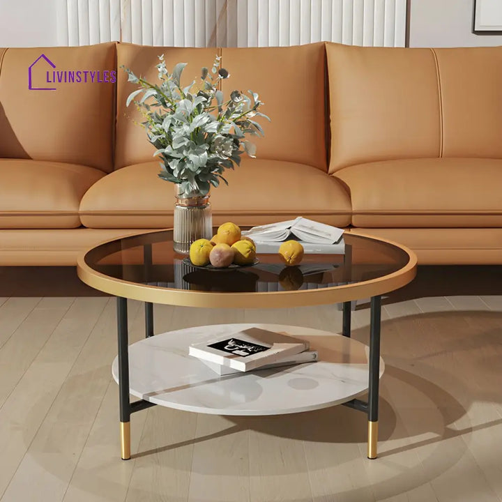 Sahil Stainless Steel Frame Coffee Table for Living Room