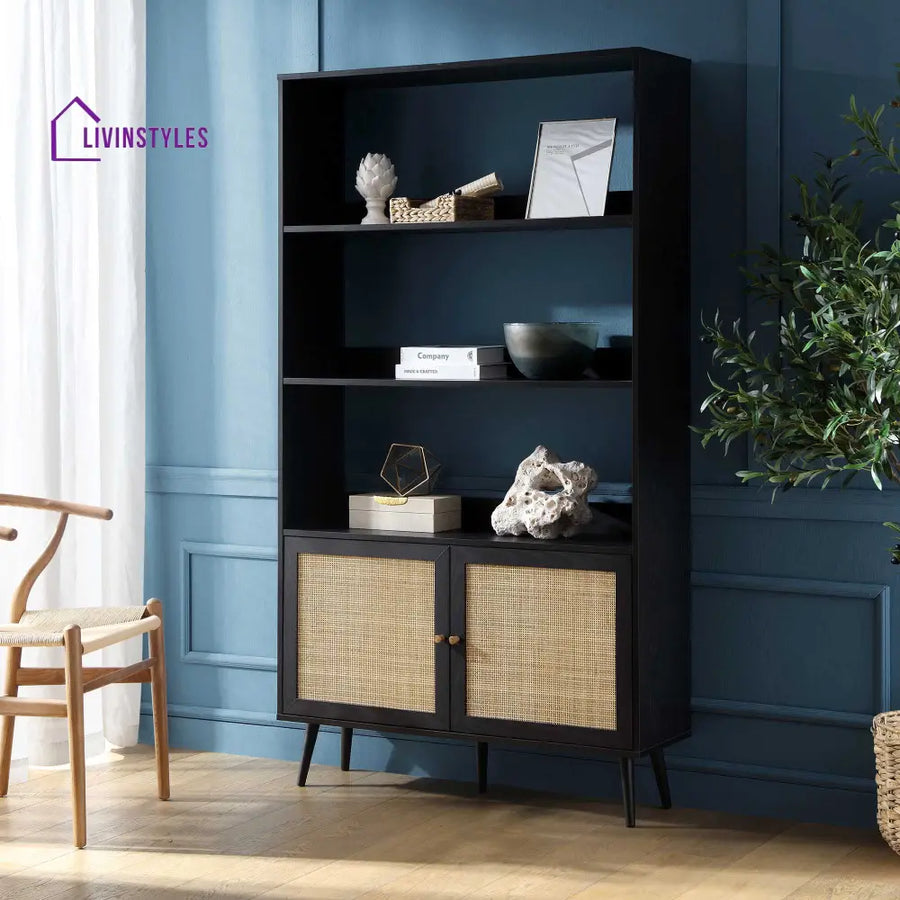 Frances Woven Rattan Bookcase with Doors Black Bookcases & Shelves