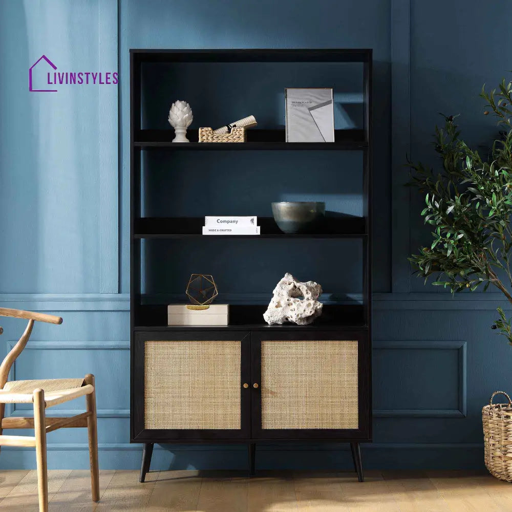 Frances Woven Rattan Bookcase with Doors Black Bookcases & Shelves