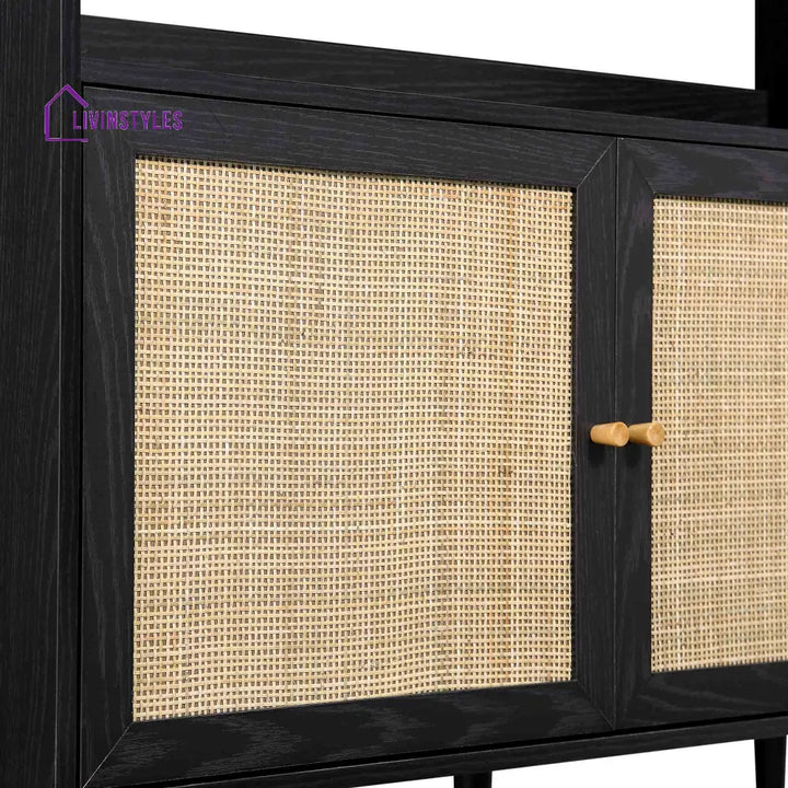 Frances Woven Rattan Bookcase with Doors Black Bookcases & Shelves