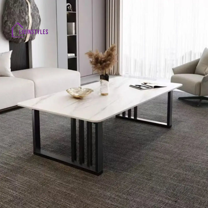Samar Stainless Steel Frame Coffee Table for Living Room