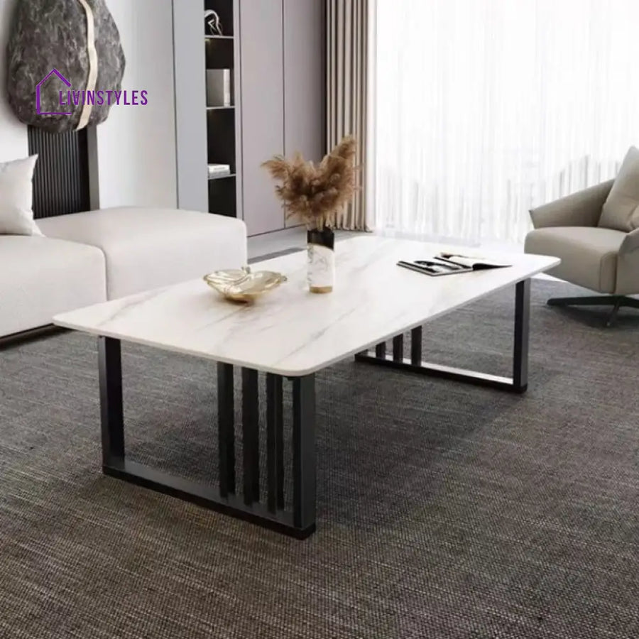 Samar Stainless Steel Frame Coffee Table for Living Room