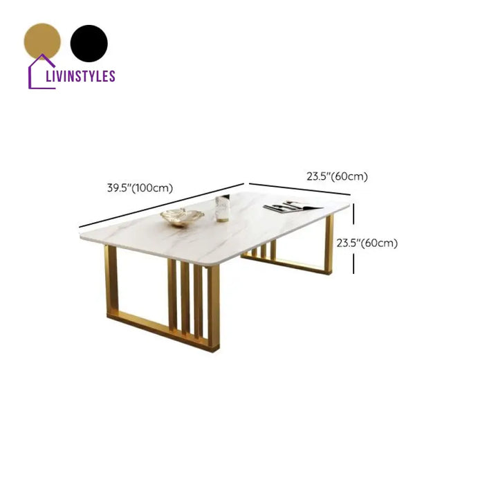 Samar Stainless Steel Frame Coffee Table for Living Room