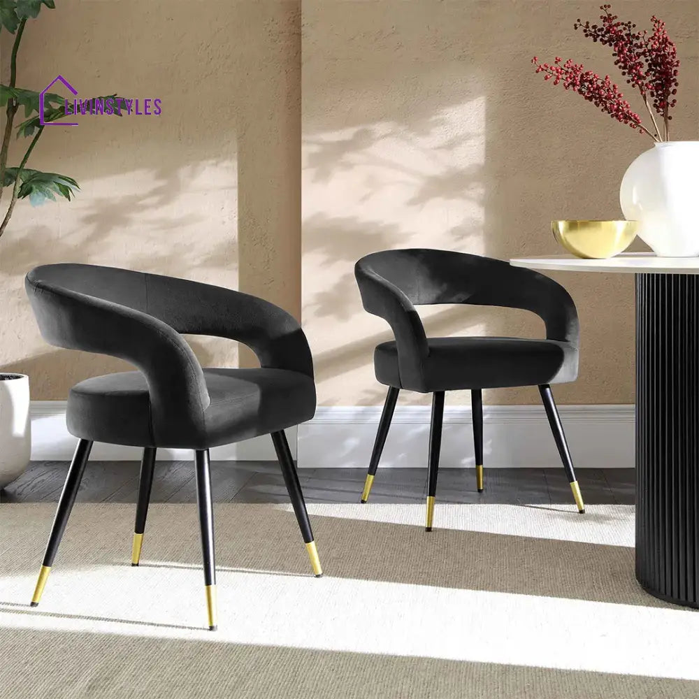 Sangeeta Velvet Accent Chair - Set Of 2 Grey