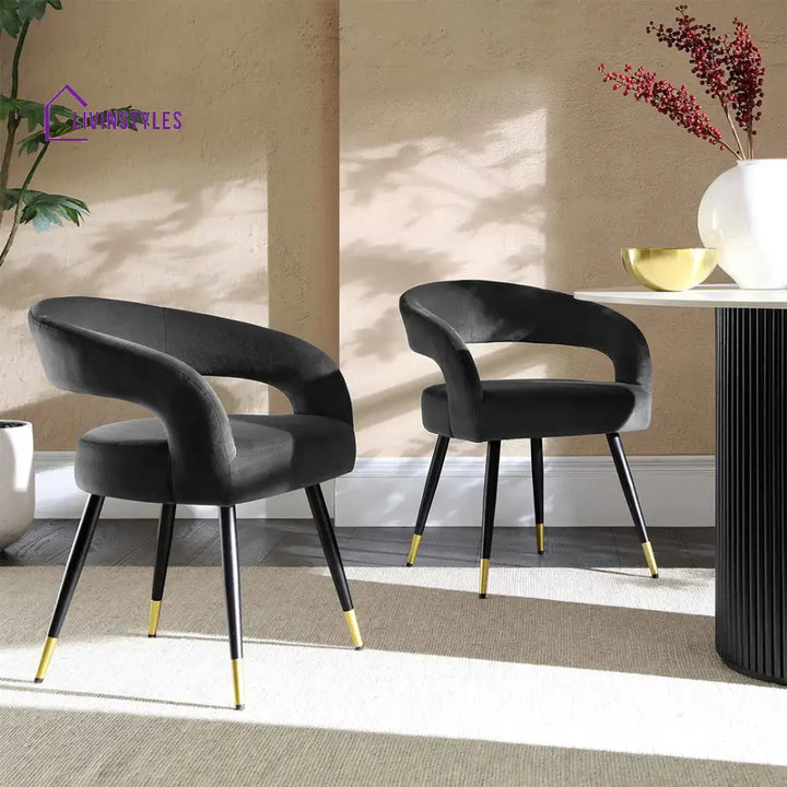 Sangeeta Velvet Accent Chair - Set Of 2 Grey