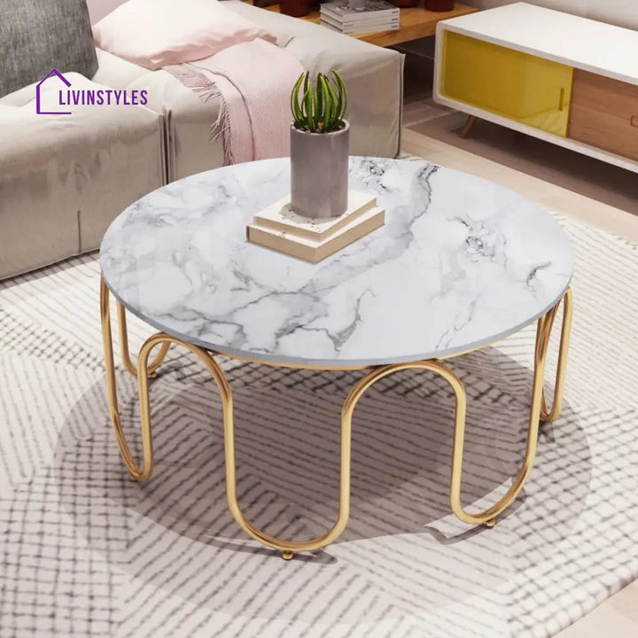Sanvika Stainless Steel Frame and Marble Top Coffee Table for Living Room