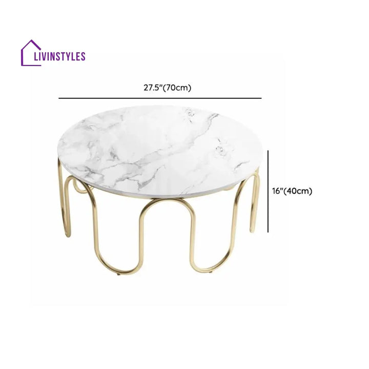 Sanvika Stainless Steel Frame and Marble Top Coffee Table for Living Room