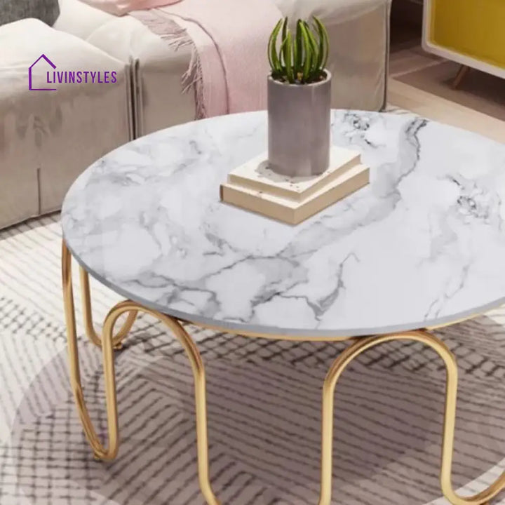 Sanvika Stainless Steel Frame and Marble Top Coffee Table for Living Room