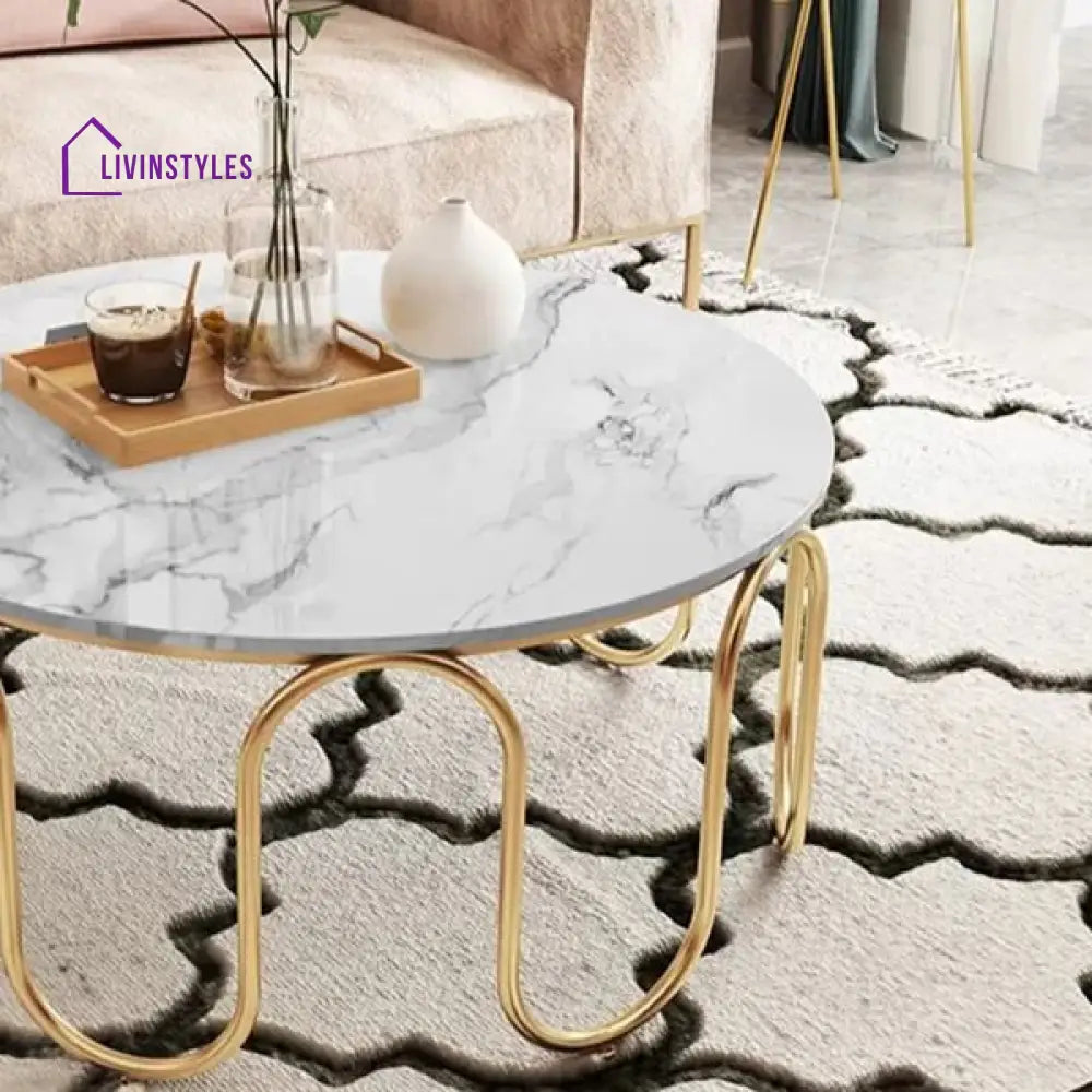 Sanvika Stainless Steel Frame and Marble Top Coffee Table for Living Room