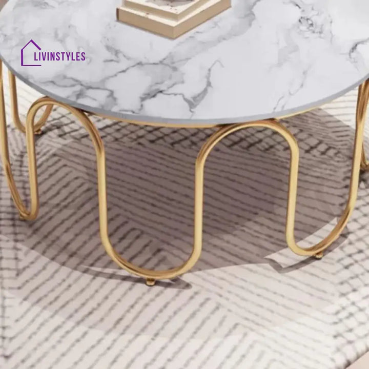 Sanvika Stainless Steel Frame and Marble Top Coffee Table for Living Room