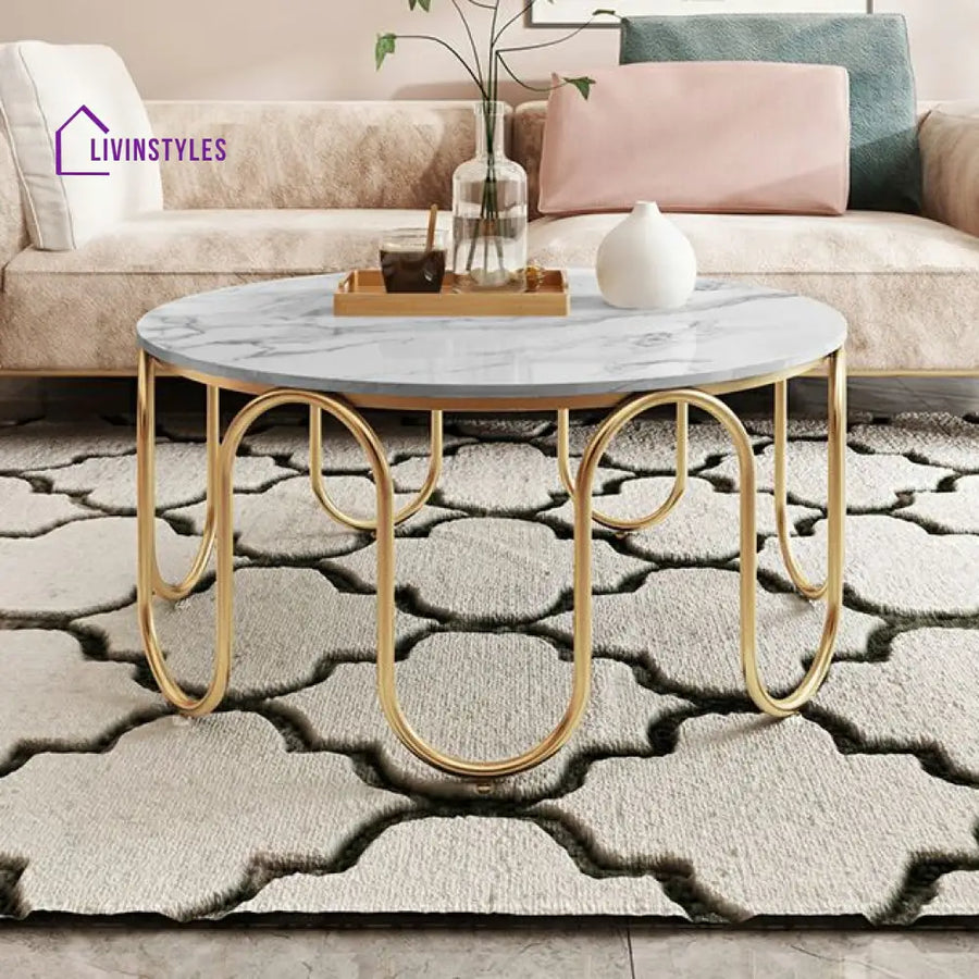 Sanvika Stainless Steel Frame and Marble Top Coffee Table for Living Room