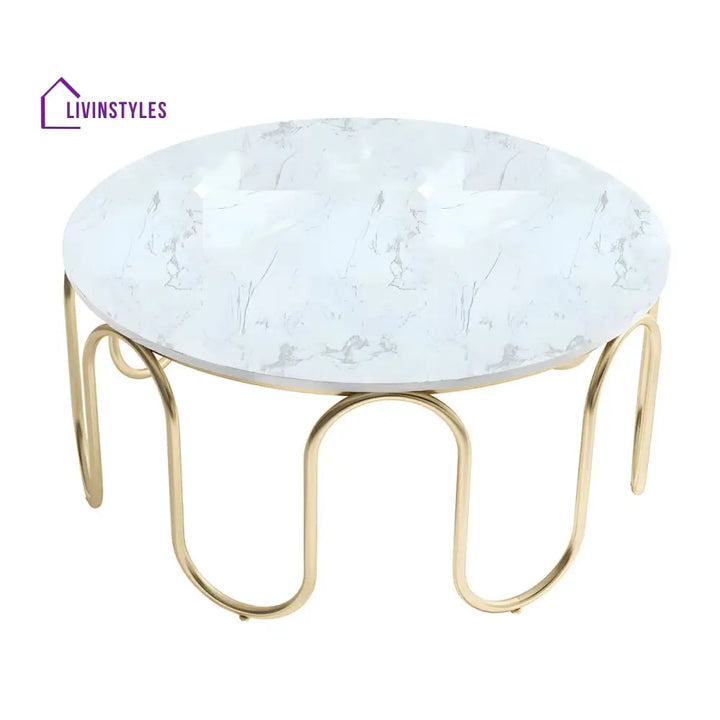 Sanvika Stainless Steel Frame and Marble Top Coffee Table for Living Room