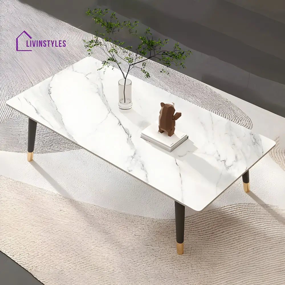 Sanvika Stainless Steel Frame Coffee Table for Living Room