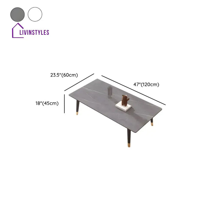 Sanvika Stainless Steel Frame Coffee Table for Living Room