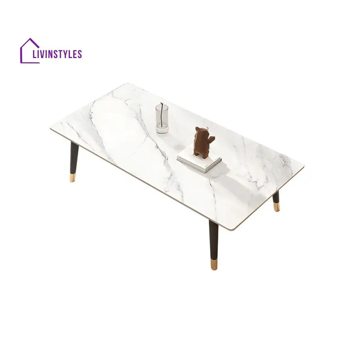 Sanvika Stainless Steel Frame Coffee Table for Living Room