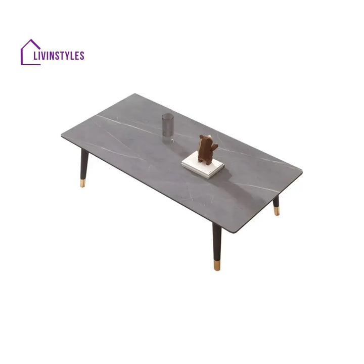 Sanvika Stainless Steel Frame Coffee Table for Living Room