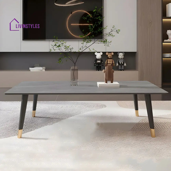 Sanvika Stainless Steel Frame Coffee Table for Living Room