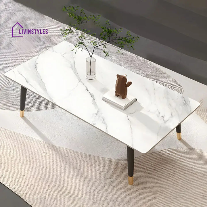 Sanvika Stainless Steel Frame Coffee Table for Living Room